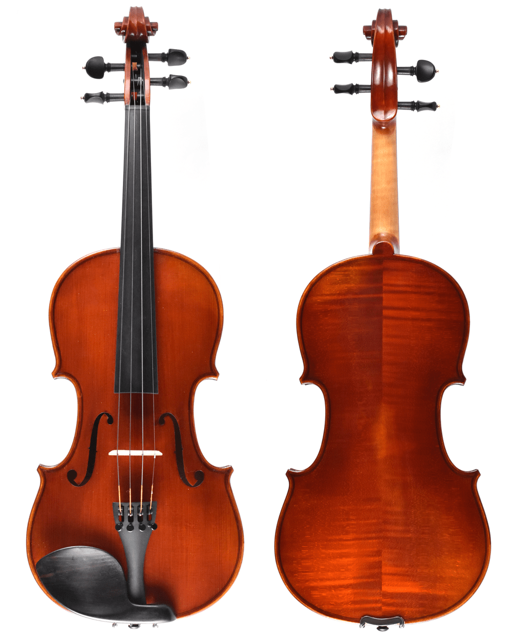 Violin Inventory — Terra Nova Violins